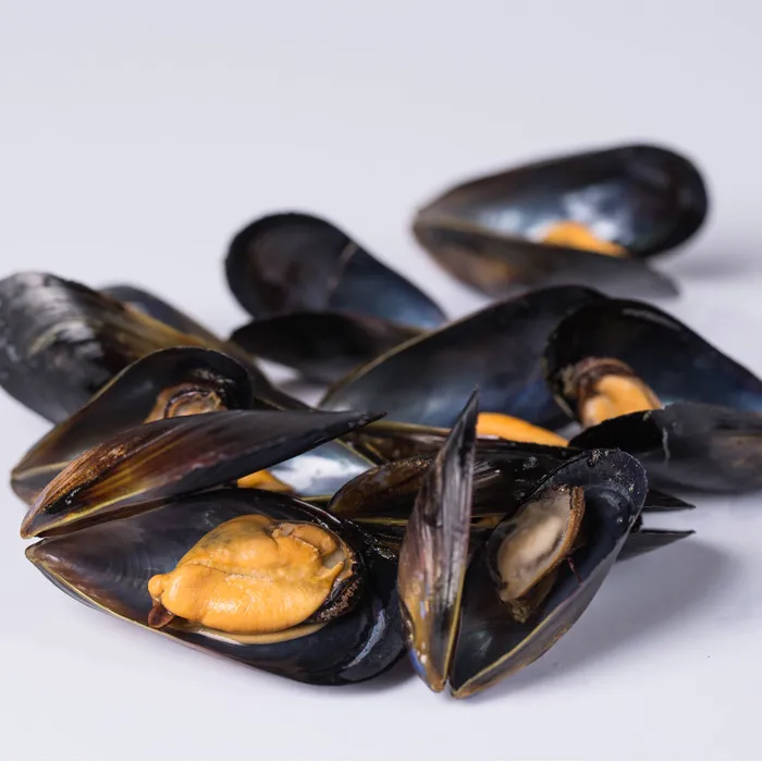 Transworld Whole Black Mussel 5pack/1kg TWT 검은홍합